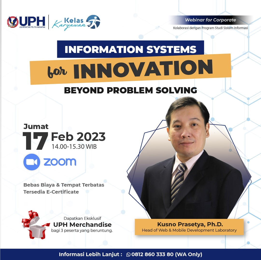 Information Systems for Innovation beyond Problem Solving