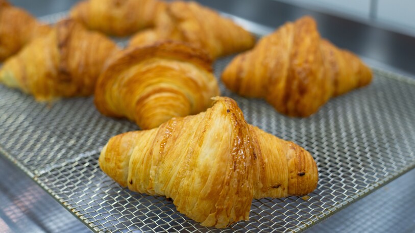 Jurusan Pastry and Bakery: Panduan Lengkap dari Dasar hingga Karier Profesional